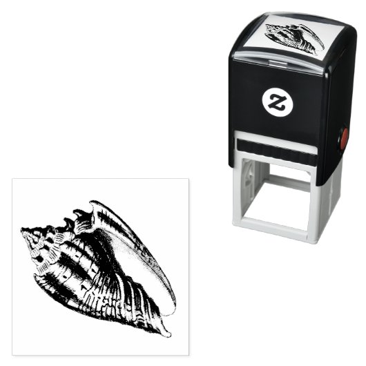 Conch-Muschel-Illustration Permastempel (Beispiel)