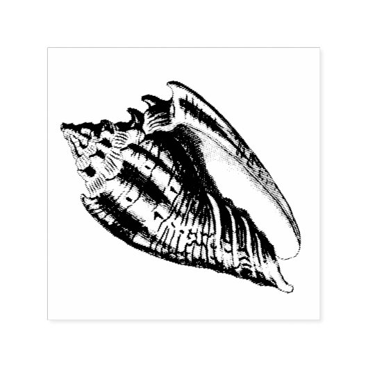 Conch-Muschel-Illustration Permastempel (Design)