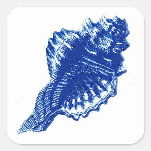 Conch Muschel, Indigo Blau und Weiß Quadratischer Aufkleber