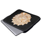Conch Muschel Laptop Sleeve (Vorne Knopf)