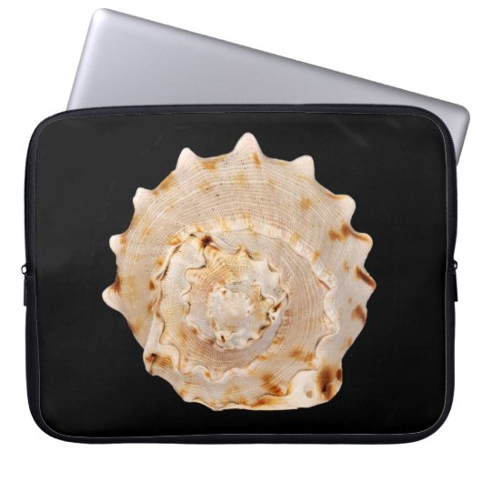 Conch Muschel Laptop Sleeve (Vorderseite)