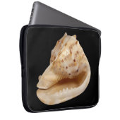 Conch Muschel Laptop Sleeve (Vorne Rechts)