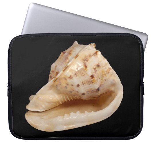 Conch Muschel Laptop Sleeve (Vorderseite)