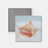 Conch-Muschel Magnet (Vorderseite/Rückseite)