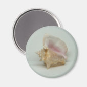CONCH-MUSCHEL-Magnet (rund) Magnet (Vorderseite/Rückseite)