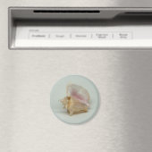 CONCH-MUSCHEL-Magnet (rund) Magnet (In Situ (Geschirrspüler))
