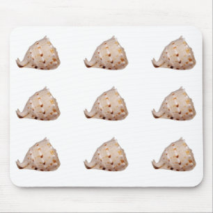 Conch Muschel Mouse Mat Mousepad