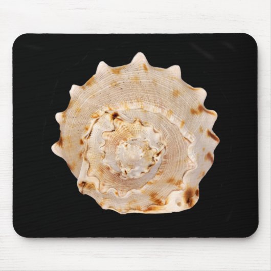 Conch Muschel Mouse Mat Mousepad (Vorne)
