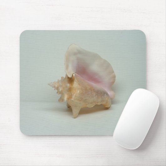 CONCH MUSCHEL Mousepad (Mit Mouse)