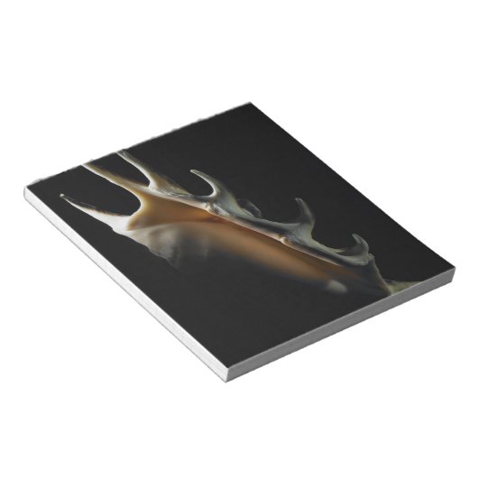 Conch-Muschel Notizblock (angewinkelt)