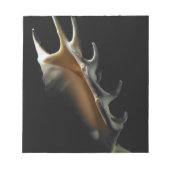 Conch-Muschel Notizblock (Vorderseite)