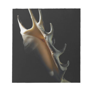 Conch-Muschel Notizblock