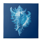 Conch Muschel Sea Life Print, Indigoblau und Weiß Fliese (Vorderseite)