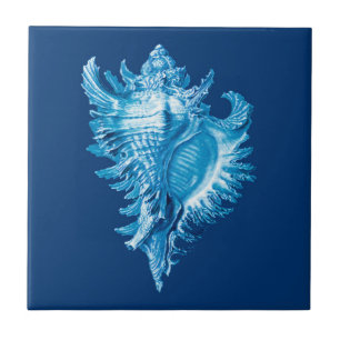 Conch Muschel Sea Life Print, Indigoblau und Weiß Fliese