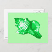 Conch Muschel Sketch - smaragdgrün und lila grün Postkarte (Vorne/Hinten)