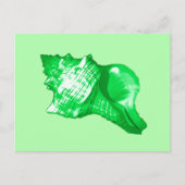 Conch Muschel Sketch - smaragdgrün und lila grün Postkarte (Vorderseite)