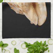 Conch Muschel Teetuch Handtuch (Gefaltet)
