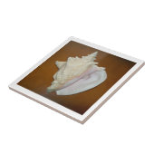 Conch Muschel Tile Fliese (Seite)