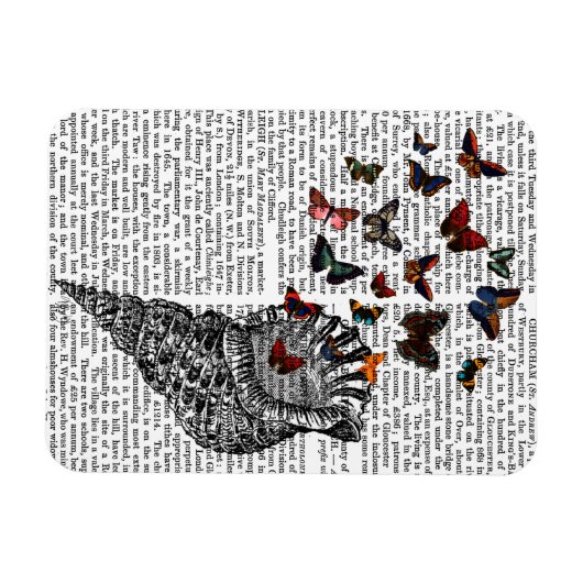 Conch Muschel und Schmetterlinge 2 Magnet (Horizontal)