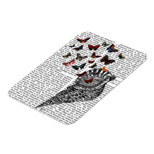 Conch Muschel und Schmetterlinge 2 Magnet (Linke Seite)