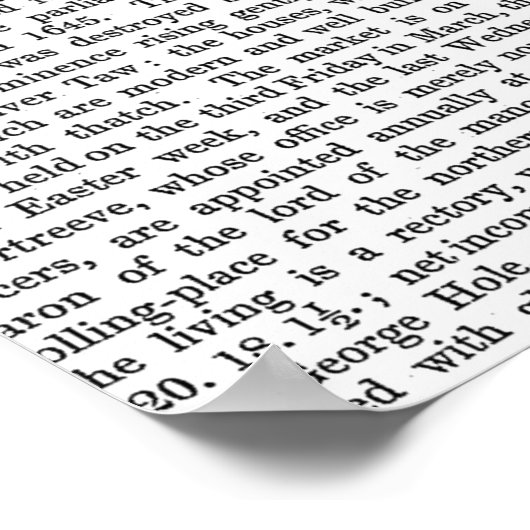 Conch Muschel und Schmetterlinge Poster (Ecke)