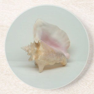 CONCH MUSCHEL UNTERSETZER