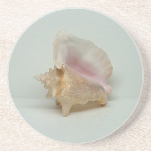 CONCH MUSCHEL UNTERSETZER (Vorne)