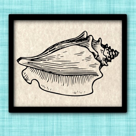 Conch Muschel Vintag Illustration Poster