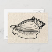 Conch Muschel Vintag Illustration Postkarte (Vorne/Hinten)