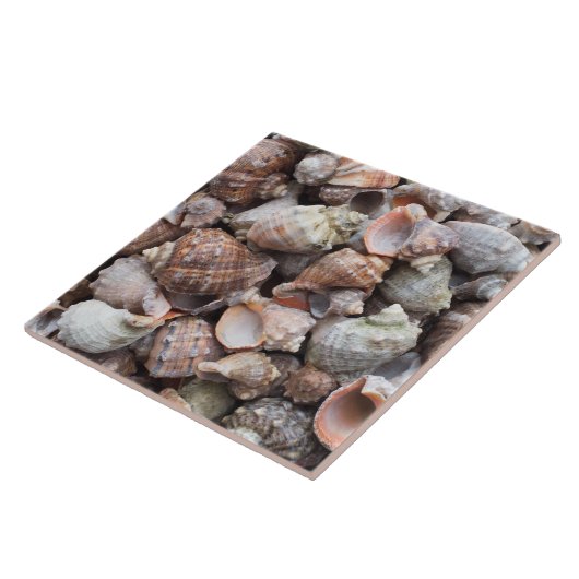 Conch-Muscheln Fliese (Seite)