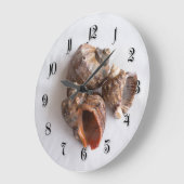 Conch-Muscheln Große Wanduhr (Winkel)