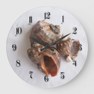 Conch-Muscheln Große Wanduhr