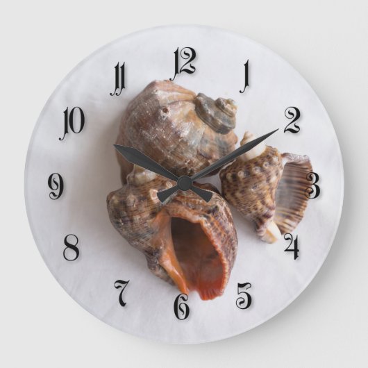 Conch-Muscheln Große Wanduhr (Vorderseite)