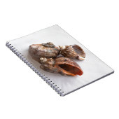 Conch-Muscheln Notizblock (Rechte Seite)