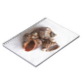 Conch-Muscheln Notizblock (Linke Seite)