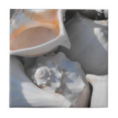 Conch-Muscheln schließen Fliese (Vorderseite)