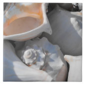 Conch-Muscheln schließen Fliese (Vorderseite)
