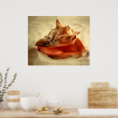 Conch Poster (Küche)