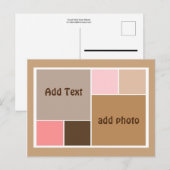 Conch Seashell Color Blocks Postkarte (Vorne/Hinten)