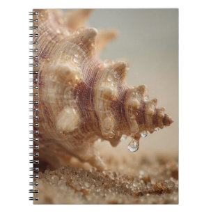 Conch Seashell mit Water Drop Notebook Notizblock