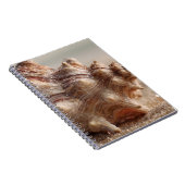 Conch Seashell Nah Up Notebook Notizblock (Rechte Seite)