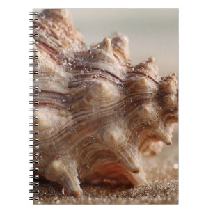 Conch Seashell Nah Up Notebook Notizblock