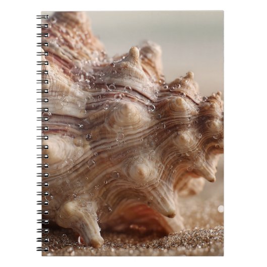 Conch Seashell Nah Up Notebook Notizblock (Vorderseite)
