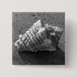 Conch Seashell Sand Beach Button Button