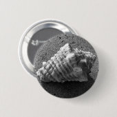 Conch Seashell Sand Beach Button Pendant (Vorne & Hinten)