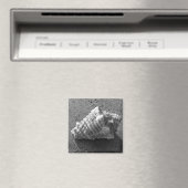 Conch Seashell Sand Beach Magnet (In Situ (Geschirrspüler))