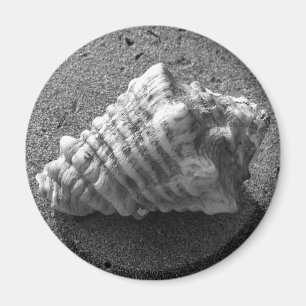 Conch Seashell Sand Beach Magnet
