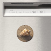 Conch Seashell Sand Beach Magnet (In Situ (Geschirrspüler))