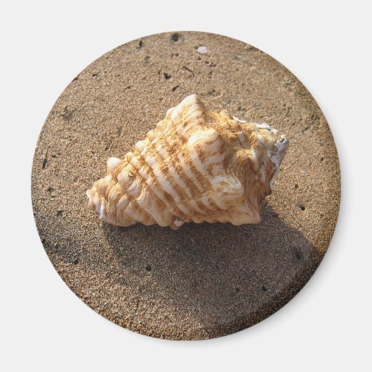 Conch Seashell Sand Beach Magnet (Vorne)