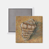 Conch Seashell Sand Beach Magnete Magnet (Vorderseite/Rückseite)